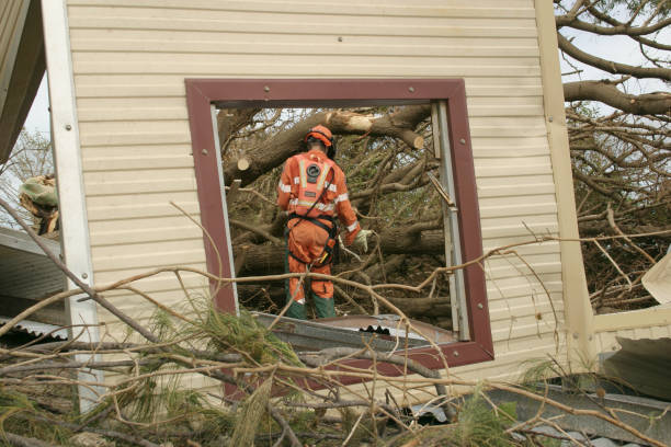 How Our Tree Care Process Works  in  Moorefield, WV